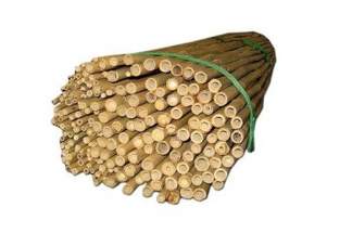 Tyczki bambusowe 150cm, średnica 12-14mm (200 szt)