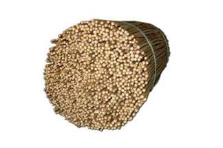 Tyczki bambusowe 75cm, średnica 8-10mm (500 szt)